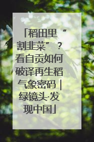 稻田里“割韭菜”？看自贡如何破译再生稻气象密码｜绿镜头·发现中国