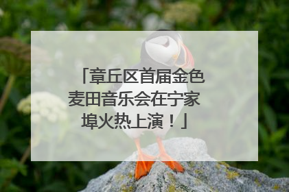 章丘区首届金色麦田音乐会在宁家埠火热上演！