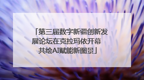 第三届数字新疆创新发展论坛在克拉玛依开幕 共绘AI赋能新图景