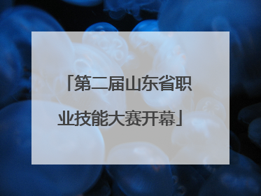 第二届山东省职业技能大赛开幕