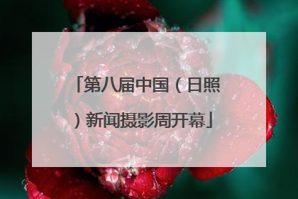 第八届中国（日照）新闻摄影周开幕