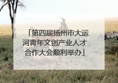 第四届扬州市大运河青年文创产业人才合作大会顺利举办