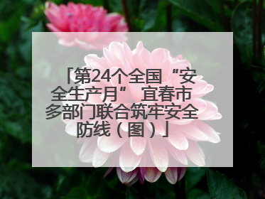 第24个全国“安全生产月” 宜春市多部门联合筑牢安全防线（图）