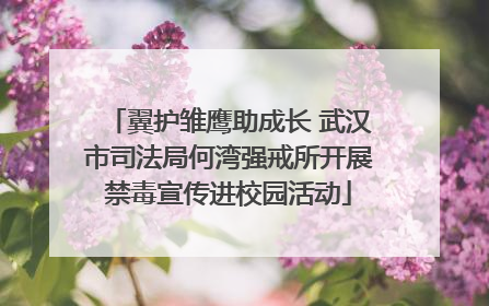 翼护雏鹰助成长 武汉市司法局何湾强戒所开展禁毒宣传进校园活动