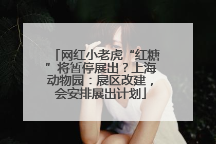 网红小老虎“红糖”将暂停展出？上海动物园：展区改建，会安排展出计划