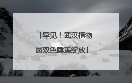 罕见！武汉植物园双色睡莲绽放