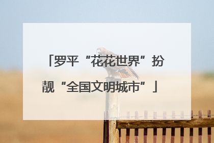 罗平“花花世界”扮靓“全国文明城市”