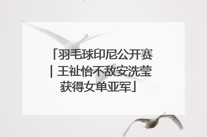 羽毛球印尼公开赛｜王祉怡不敌安洗莹 获得女单亚军