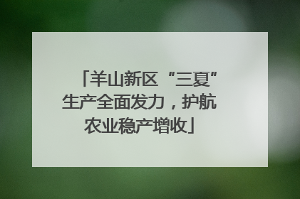 羊山新区“三夏”生产全面发力，护航农业稳产增收