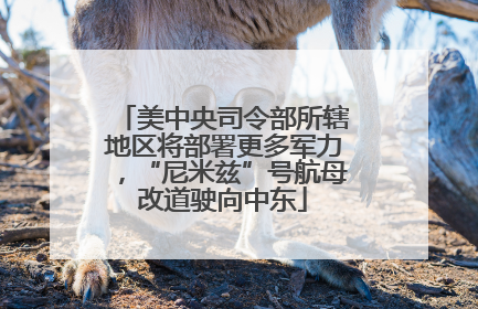 美中央司令部所辖地区将部署更多军力，“尼米兹”号航母改道驶向中东