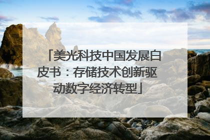 美光科技中国发展白皮书：存储技术创新驱动数字经济转型