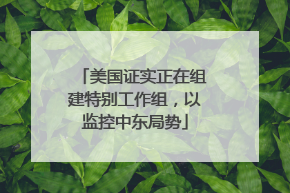 美国证实正在组建特别工作组，以监控中东局势