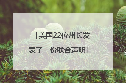 美国22位州长发表了一份联合声明