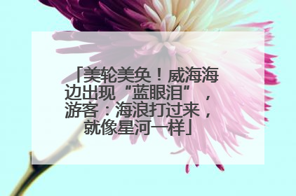美轮美奂！威海海边出现“蓝眼泪”，游客：海浪打过来，就像星河一样