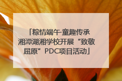 粽情端午·童趣传承 湘潭湖湘学校开展“致敬屈原”PDC项目活动