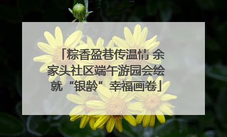 粽香盈巷传温情 余家头社区端午游园会绘就“银龄”幸福画卷