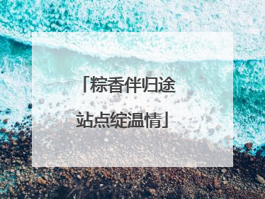 粽香伴归途 站点绽温情