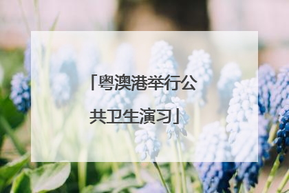 粤澳港举行公共卫生演习