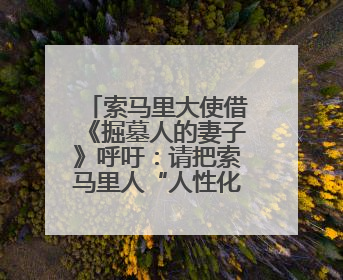 索马里大使借《掘墓人的妻子》呼吁：请把索马里人“人性化”！
