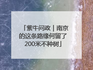 紫牛问政｜南京的这条路缘何留了200米不种树