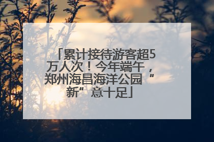 累计接待游客超5万人次！今年端午，郑州海昌海洋公园“新”意十足