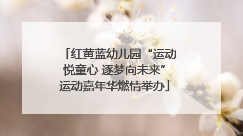 红黄蓝幼儿园“运动悦童心 逐梦向未来”运动嘉年华燃情举办