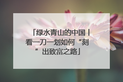 绿水青山的中国丨看一刀一划如何“刻”出致富之路