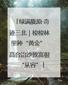 绿满陇原·奇迹三北｜梭梭林里种“黄金” 高台治沙致富很“从容”