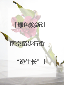 绿色焕新让南京路步行街“逆生长”