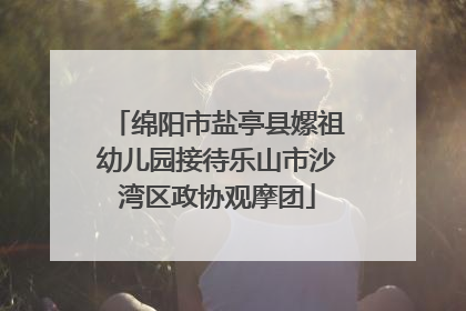 绵阳市盐亭县嫘祖幼儿园接待乐山市沙湾区政协观摩团
