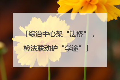 综治中心架“法桥”，检法联动护“学途”