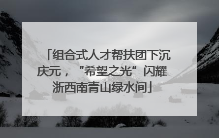 组合式人才帮扶团下沉庆元，“希望之光”闪耀浙西南青山绿水间