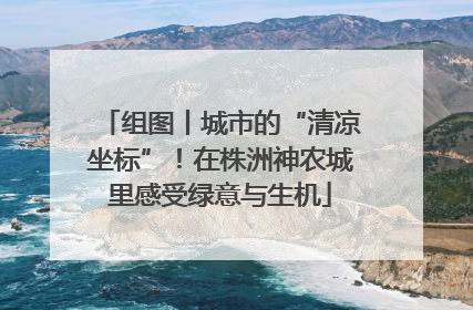 组图丨城市的“清凉坐标”！在株洲神农城里感受绿意与生机