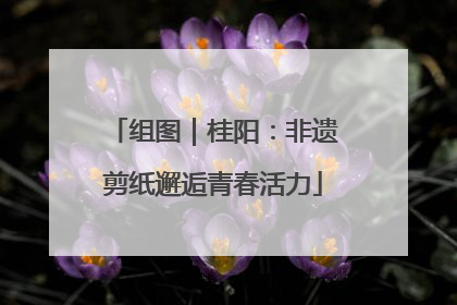 组图｜桂阳：非遗剪纸邂逅青春活力