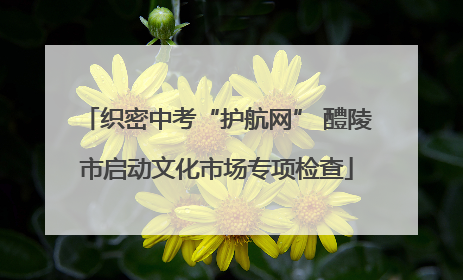 织密中考“护航网” 醴陵市启动文化市场专项检查