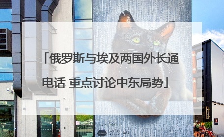 俄罗斯与埃及两国外长通电话 重点讨论中东局势