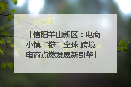 信阳羊山新区：电商小镇“链”全球 跨境电商点燃发展新引擎