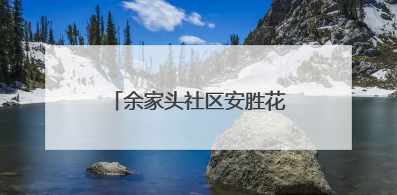 余家头社区安胜花园片区党支部开展廉政主题党日活动