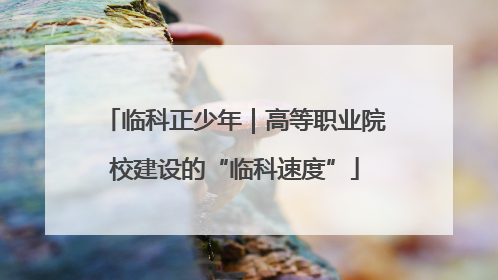 临科正少年｜高等职业院校建设的“临科速度”