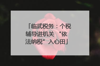 临武税务：个税辅导进机关 “依法纳税”入心田