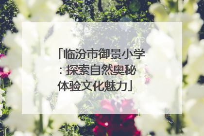 临汾市御景小学：探索自然奥秘 体验文化魅力