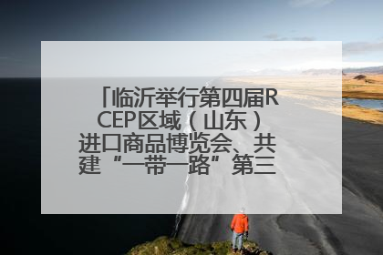 临沂举行第四届RCEP区域（山东）进口商品博览会、共建“一带一路”第三届临沂商城国际采购商大会新闻发布会