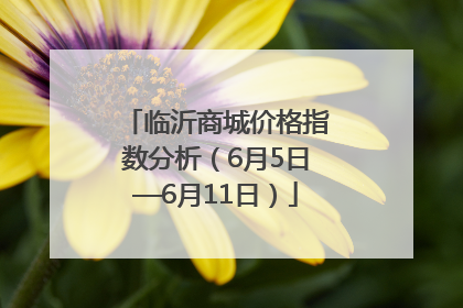 临沂商城价格指数分析（6月5日—6月11日）