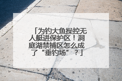 为钓大鱼操控无人艇进保护区！洞庭湖禁捕区怎么成了“垂钓场”？