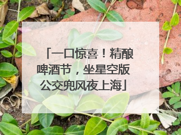 一口惊喜！精酿啤酒节，坐星空版公交兜风夜上海
