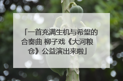 一首充满生机与希望的合奏曲 柳子戏《大河粮仓》公益演出来啦