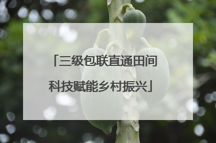 三级包联直通田间 科技赋能乡村振兴