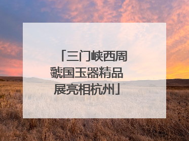 三门峡西周虢国玉器精品展亮相杭州
