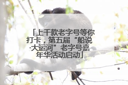 上千款老字号等你打卡，第五届“船说·大运河”老字号嘉年华活动启动