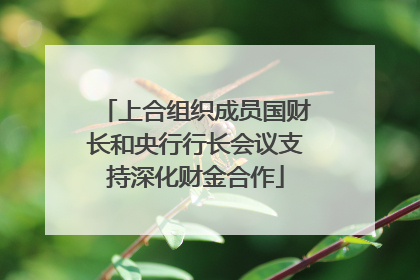 上合组织成员国财长和央行行长会议支持深化财金合作